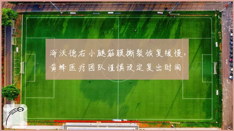 海沃德右小腿筋膜撕裂恢复缓慢，黄蜂医疗团队谨慎设定复出时间